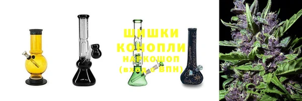 твердый Сясьстрой