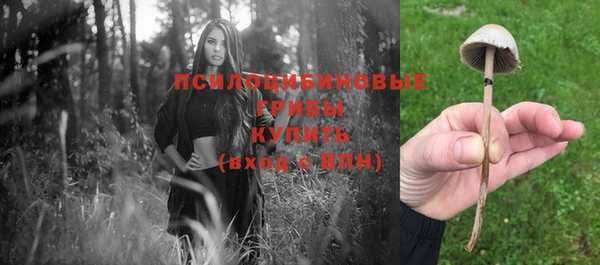 твердый Сясьстрой